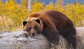 CheckIn:23.09.2016
Valid:31.03.2018
Changed:06.09.2018
4765292-1615217