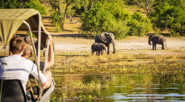 Afrikas Facetten als Privattour