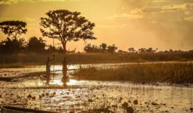 Beautiful, spectaculair mirror reflections and a traditional Mokoro on the Okavango Delta, Botswana