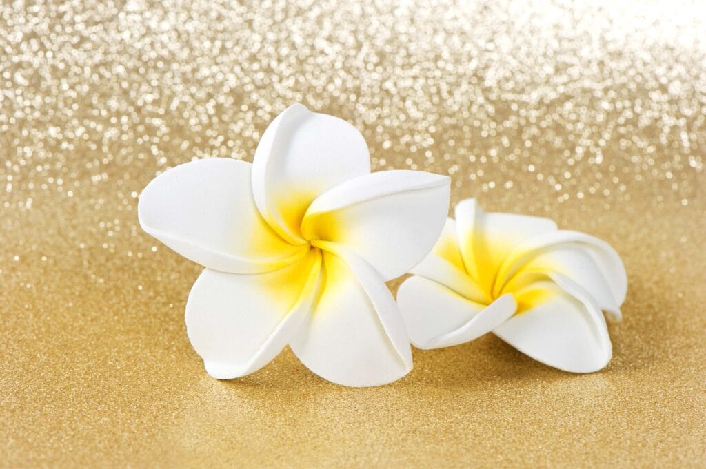 CheckIn:14.10.2016
Valid:31.03.2018
Changed:14.10.2016