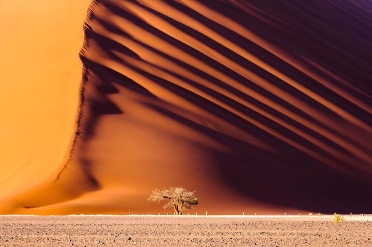 Best of Namibia für Einsteiger