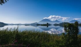 Gorilla Trekking Bwindi Impenetrable Nationalpark Lake Mutanda