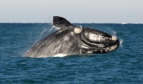 CheckIn:25.04.2014
Valid:31.10.2016
Changed:25.04.2014
4300562-1604811
4300562-1611495