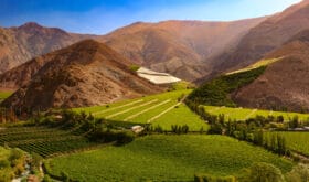 Vineyards among the hills of Valle del Elqui - Chile