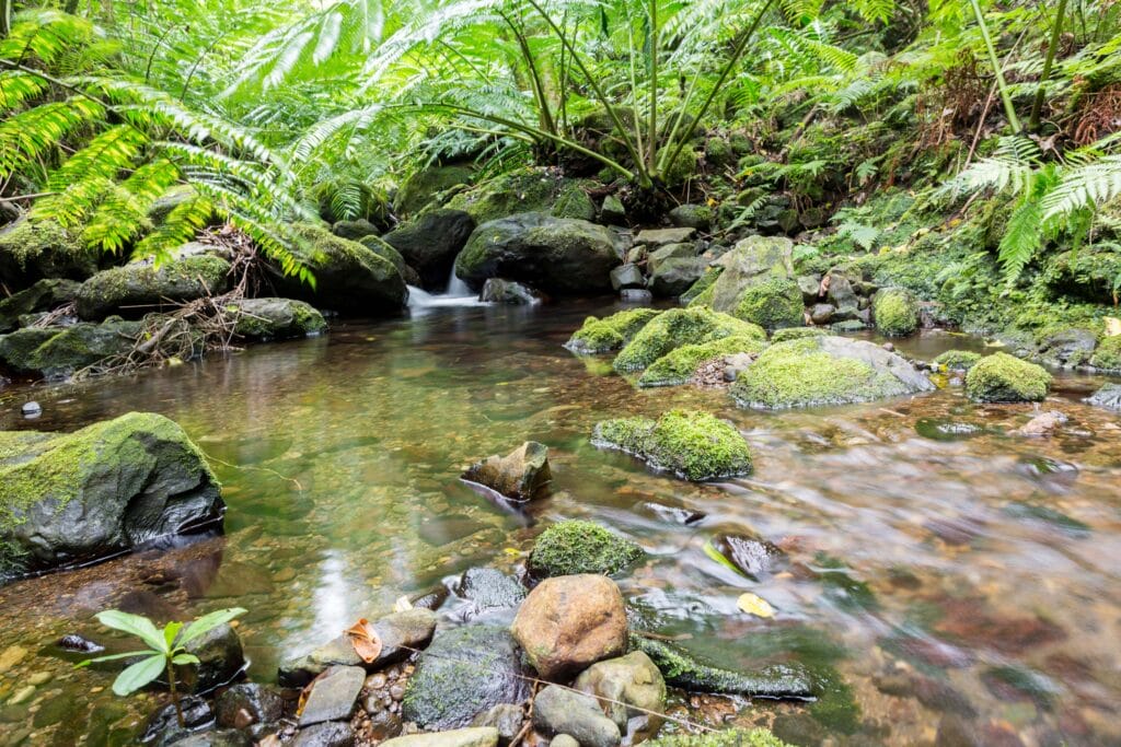 Cross island hike views, Te Rua Manga, Rarotonga, Cook Islands.