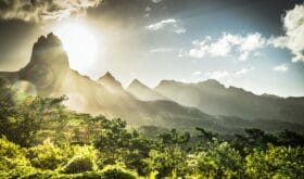 view on moorea island