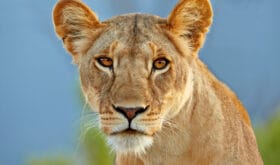 CheckIn:07.06.2017
Valid:31.12.2019
Changed:19.07.2019
4301313-1618193