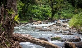 A peaceful river in Papua New Guinea
