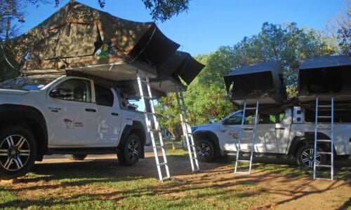 Zwei Allradfahrzeuge mit geöffneten Dachzelten und Leitern auf einem Campingplatz in Botswana – perfektes Setup für eine geführte Safari.